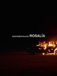 Sauvignon Blanc Artwork