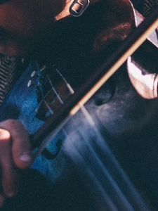 Fiddle Sticks Artwork