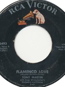 Flamenco Love Artwork