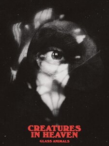 Creatures In Heaven Artwork