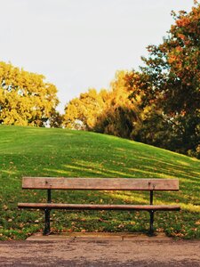 The Park Bench (at dusk) Copertina
