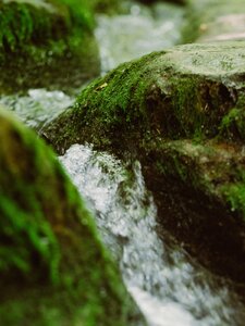 Steady Water Artwork