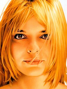 Évidemment Artwork