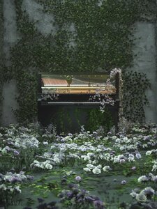 Le Jardin de Monsieur Monet Copertina
