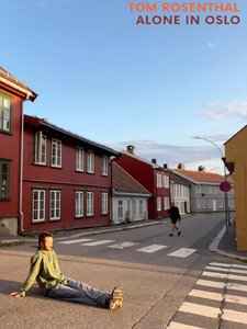 Alone In Oslo Artwork