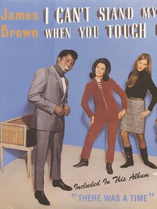 I Can't Stand Myself (When You Touch Me) Pochette