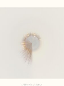 Afterthought Artwork