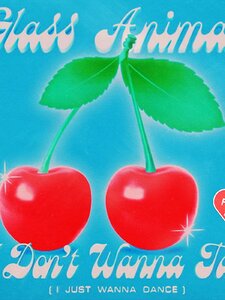 I Don't Wanna Talk (I Just Wanna Dance) Pochette