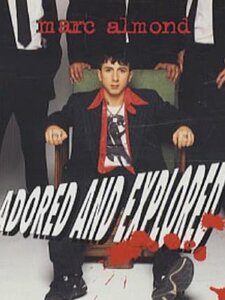 Adored And Explored Artwork