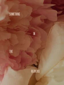 Something In The Heavens Artwork