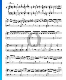 Concerto in G Major, BWV 980: 2. Largo