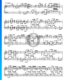 Concerto in C Major, BWV 976: 2. Largo