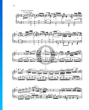 Piano Sonata No. 9 a Minor, KV 310 (300d): 2. Andante cantabile Sheet Music