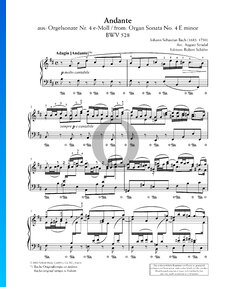 Sonate pour orgue n° 4, BWV 528 : 2. Andante