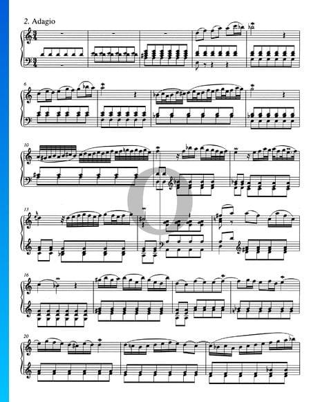 Concerto en Ré mineur, BWV 974: 2. Adagio