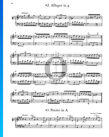 Allegro in G Minor, No. 42 Sheet Music