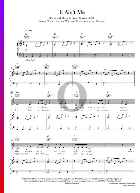 It Ain't Me Sheet Music