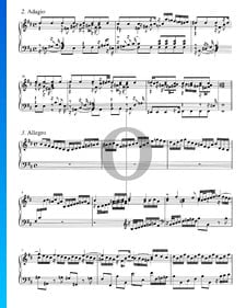 Concerto en Si mineur, BWV 979: 3. Allegro