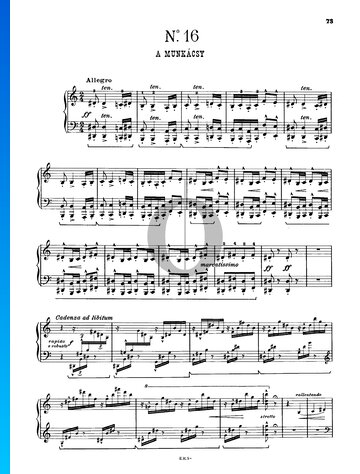 Ungarische Rhapsodie Nr. 16, S.244/16 Musik-Noten