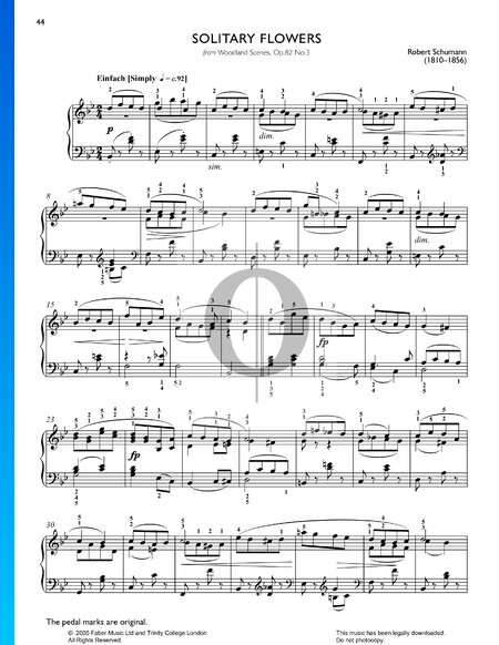 Waldszenen, Op. 82: Nr. 3 Einsame Blumen
