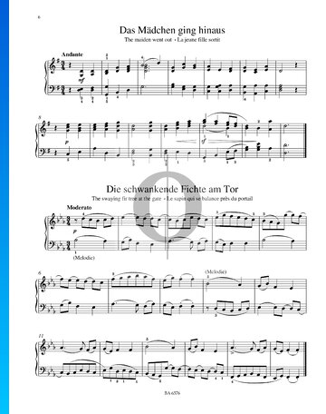 The Swaying Fir Tree At The Gate Sheet Music