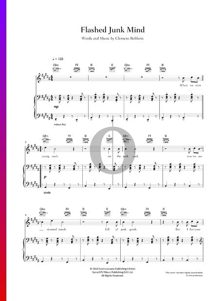 Flashed Junk Mind Musik-Noten