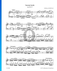Sonata fácil, Op. 49 n.º 1: 1. Andante