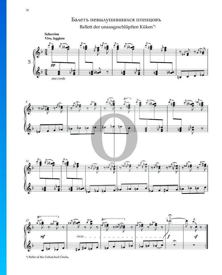 Tableaux d'une exposition Ballet des Poussins dans leur Coques