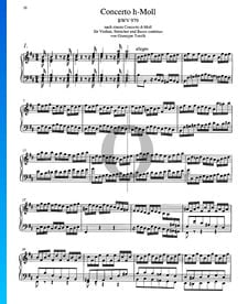 Concerto en Si mineur, BWV 979: 1. Allegro