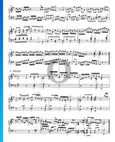 Concerto in G Major, BWV 986: 2. Adagio