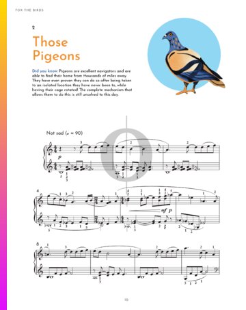 Those Pigeons Partitura