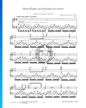 Etude in D Minor: Orage, tu ne saurais m’abattre! Sheet Music