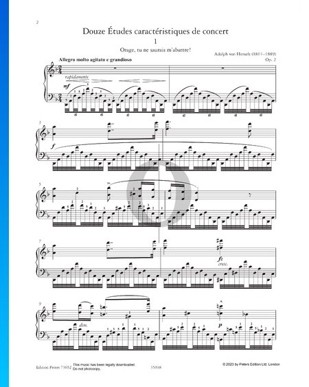 Etude in D Minor: Orage, tu ne saurais m’abattre!