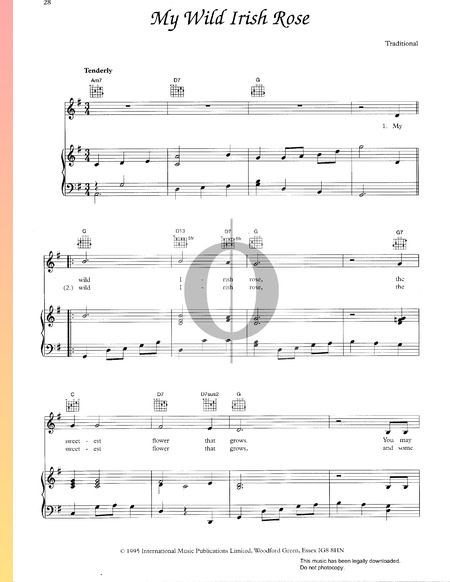 My Wild Irish Rose Musik-Noten