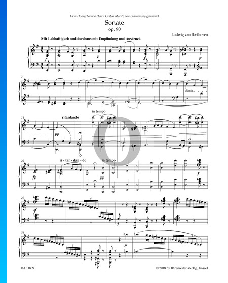 Sonata in E Minor, Op. 90 No.27: 1st Movement
