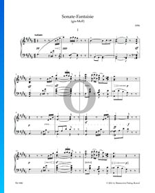 Sonata-Fantaisie in G-sharp Minor: 1. Andante