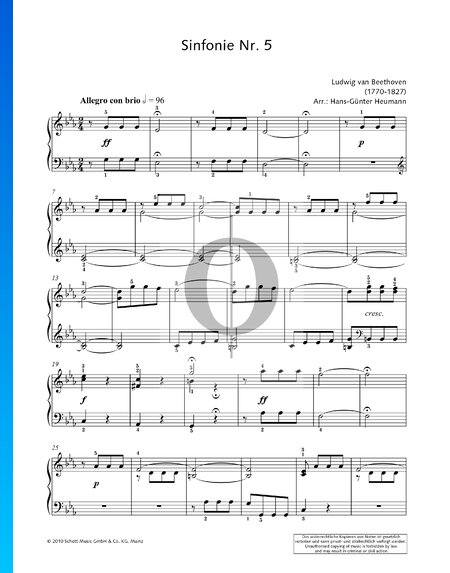 5. Sinfonie in c-Moll, Op. 67: 1. Allegro con brio