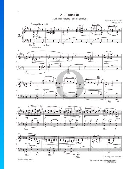 Summer Night, Op. 39 No. 2