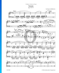 Sonate en Mi Majeur, Op. 14 No. 1: 1. Allegro