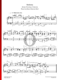 Christmas Oratorio, BWV 248: Sinfonia