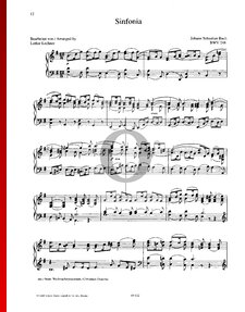 Oratorio de Noël, BWV 248: Sinfonia