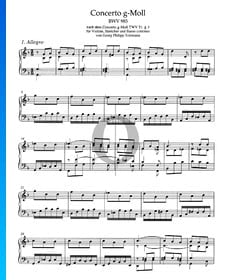 Concerto in G Minor, BWV 985: 1. Allegro