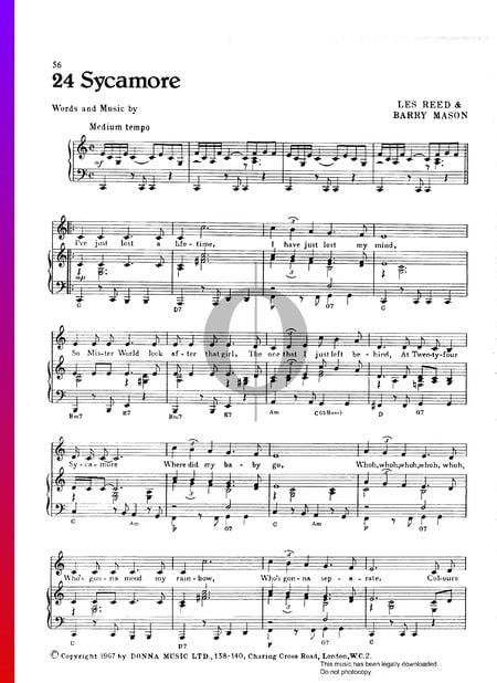 24 Sycamore Sheet Music