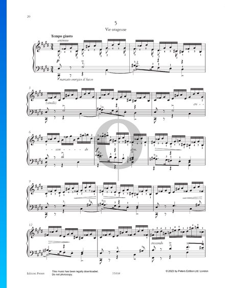 Etude in C-sharp Minor: Vie orageuse