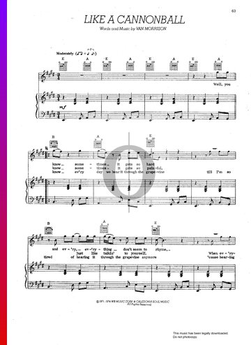 Straight To Your Heart (Like A Cannonball) Partitura