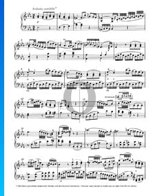 Klaviersonate Nr. 13 B-Dur, KV 333 (315c): 2. Andante cantabile