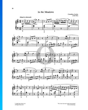 In The Meadows Sheet Music