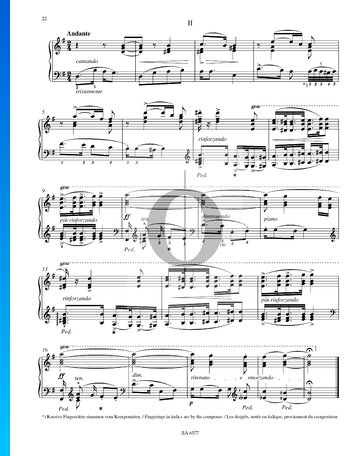 Andante (Zwei Ungarische Volkslieder) II, S. 245 Spartito