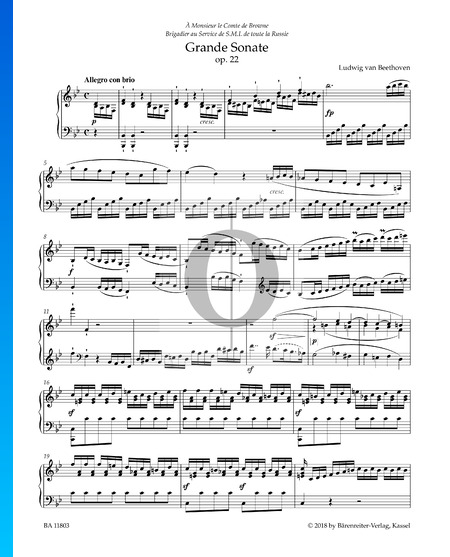 Grande Sonate in B-Dur, Op. 22 Nr. 11: 1. Allegro con brio Musik-Noten
