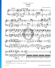 Sonate in C Minor, Op. 111 No. 32: 1. Maestoso
